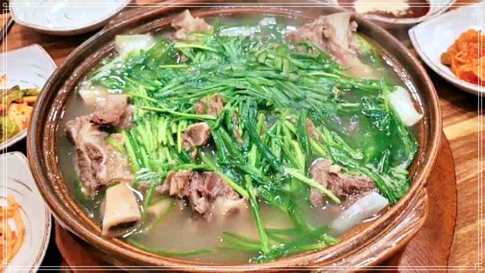 픽업 트렌드 스페셜 신용산, 이촌 꿀조합 냉면, 불고기 맛집