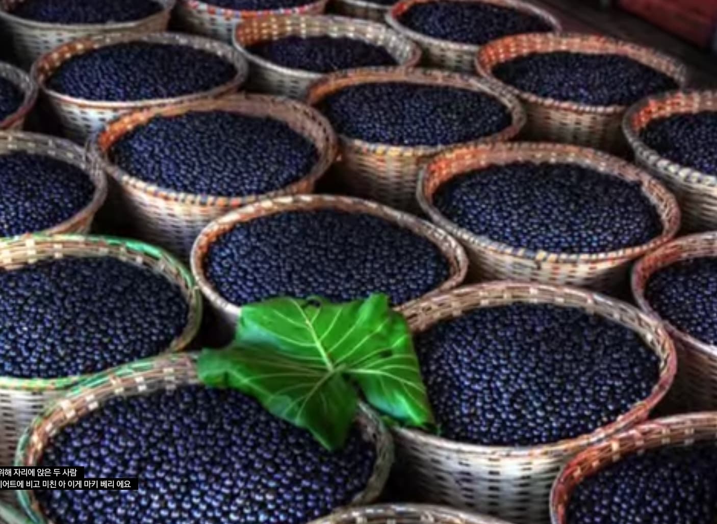 슈퍼푸드 마키베리