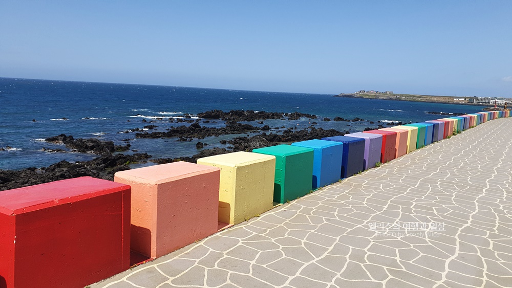 제주 앨리스 앤 트렁크 호텔 주변 제주공항 근처 가볼만한곳 BEST 10