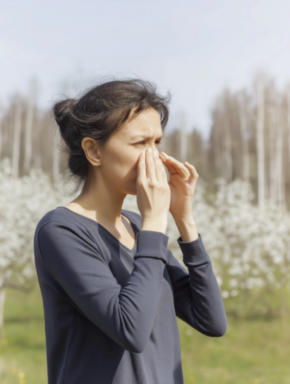 봄철 꽃가루 알레르기 완화 생활 팁