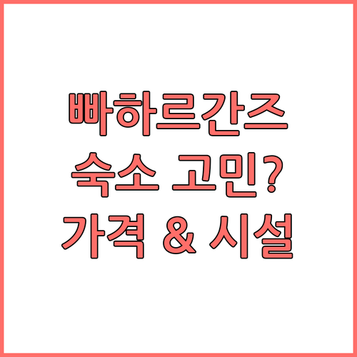 빠하르간즈 숙소 고민 끝! 르 ROI