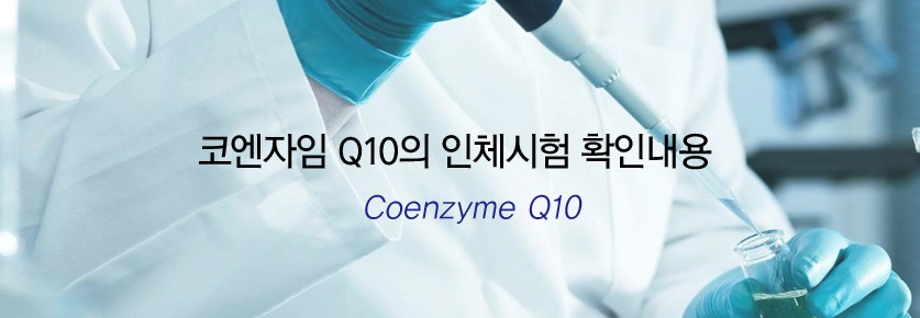 코엔자임q10인체시험