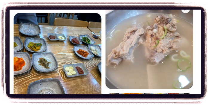 놀라운 토요일 숯불떡갈비 광주 1913송정역시장 후기