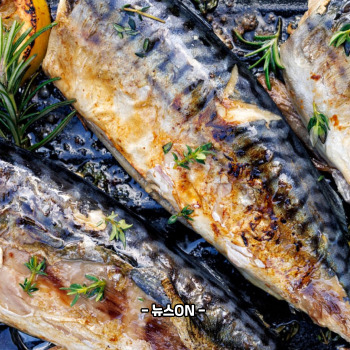 비타민B3가 많은 식품