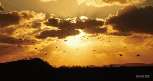2025 장고항 실치축제 일정 및 프로그램 정보