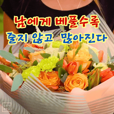 베풂의 미학, 풍요로운 인생을 위한 따뜻한 명언 이미지