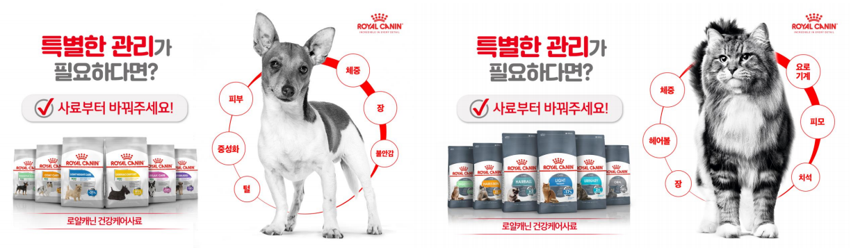 로얄캐닌/출처:구글이미지