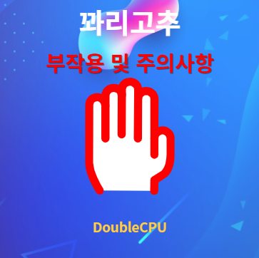 꽈리고추 부작용 및 주의사항