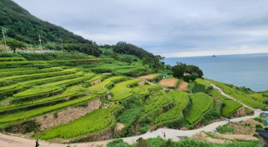 남해 여름휴가 추천 코스 남해 다랭이마을 사진