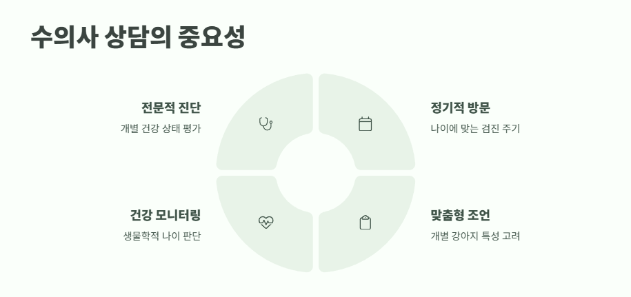 강아지 나이 계산법 완벽 정리 11