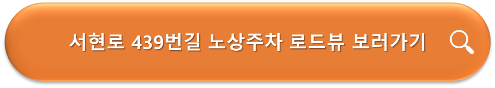 서현로 439번길 노상주차