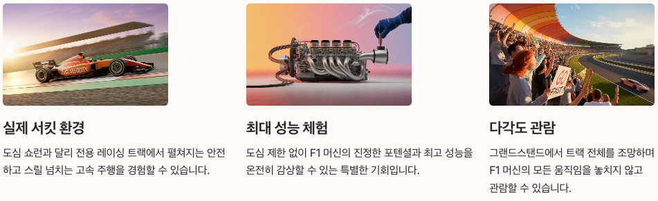 F1 이벤트의 특별함 정리 이미지