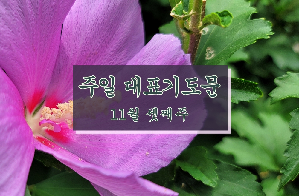 주일대표기도문 11월 셋째 주