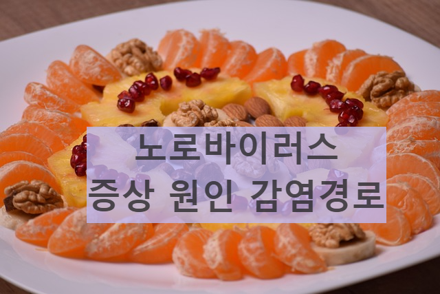 노로바이러스 증상 원인 감염경로 치료방법 증상완화 병원 약