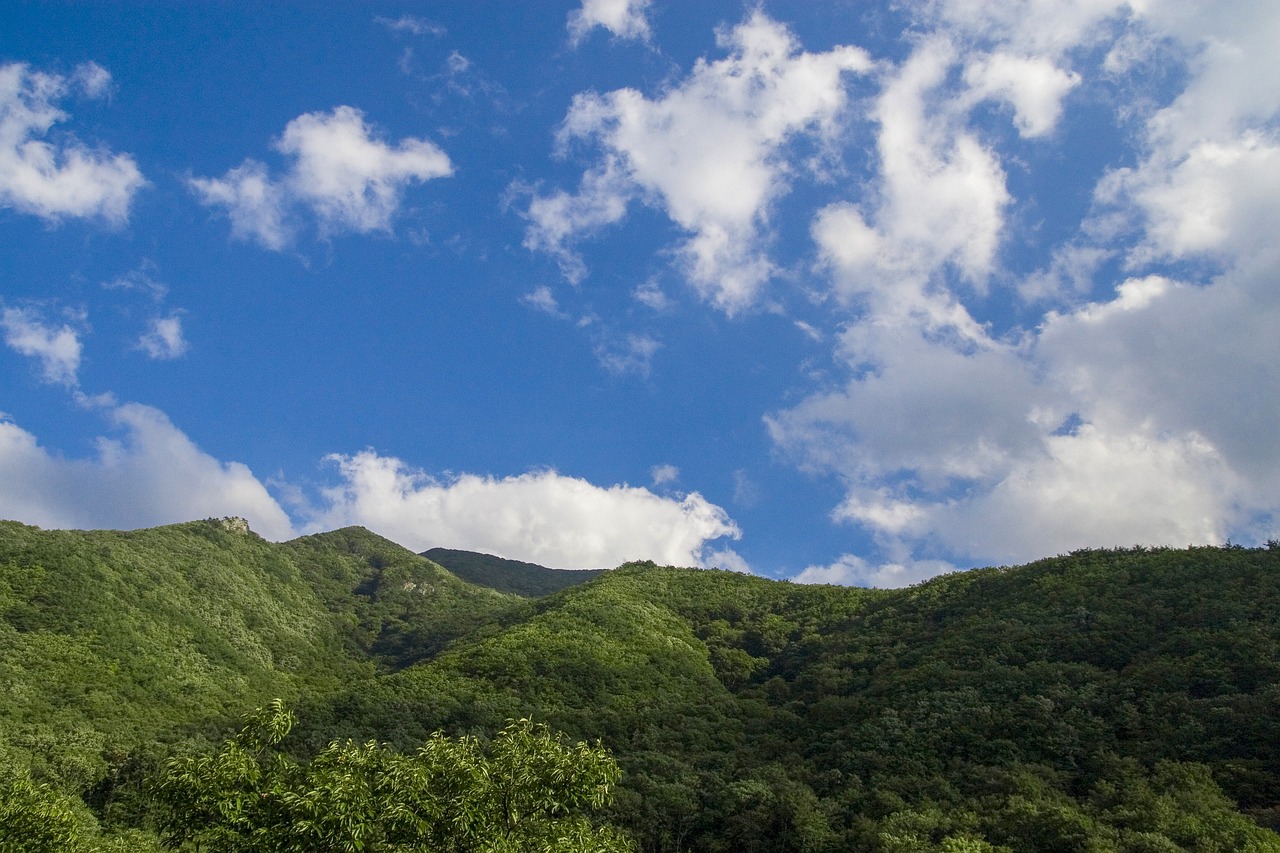 하늘보는꿈-하늘에서꿈-하늘 나는 꿈-하늘날아다니는꿈