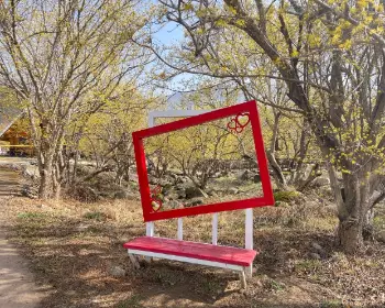 구례 산수유축제_17