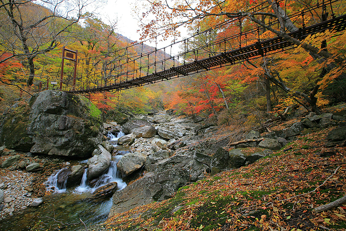 설악산단풍-2