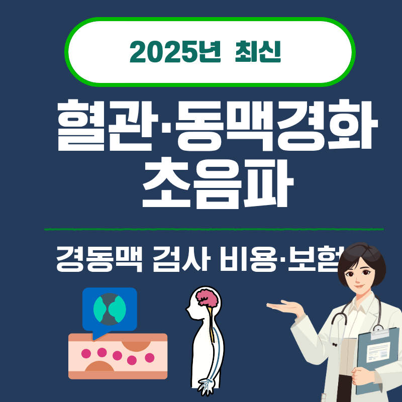 10. 혈관&middot;동맥경화 초음파｜경동맥 검사 비용&middot;보험 (2025)