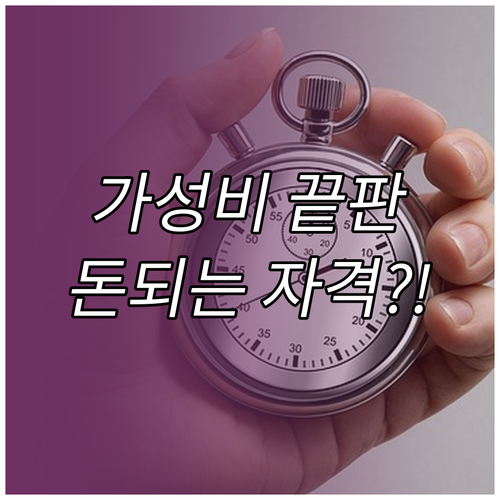 최소 비용 최대 효과, 자격증 취득 ..