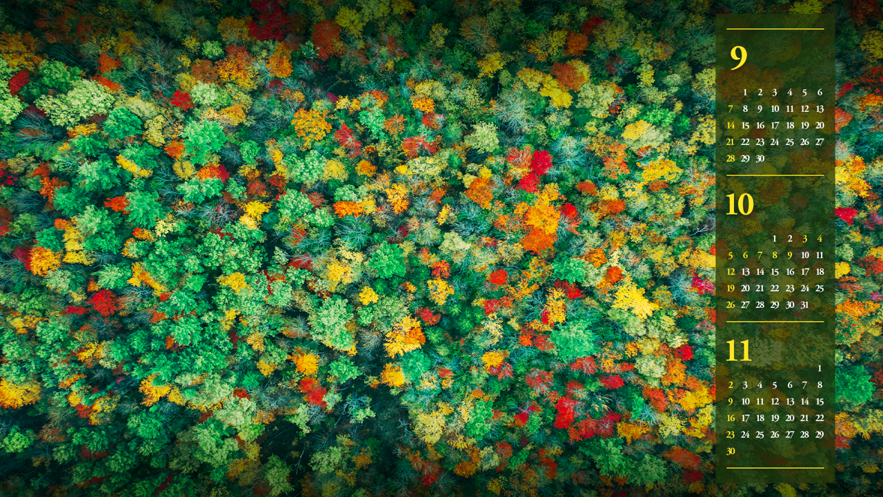 02 단풍숲 B - 2025년10월 노트북배경화면