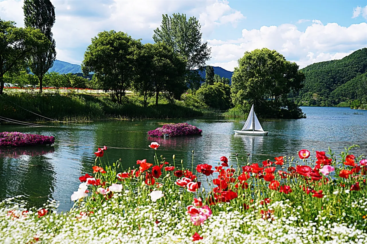 자라섬 꽃 페스타 2025 행사일정 관람 포인트 완전 정리_4