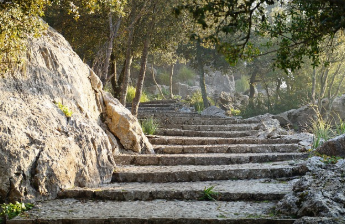 계단오르기 운동효과 정리 4