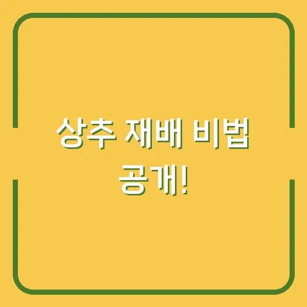 상추 재배 비법 공개!