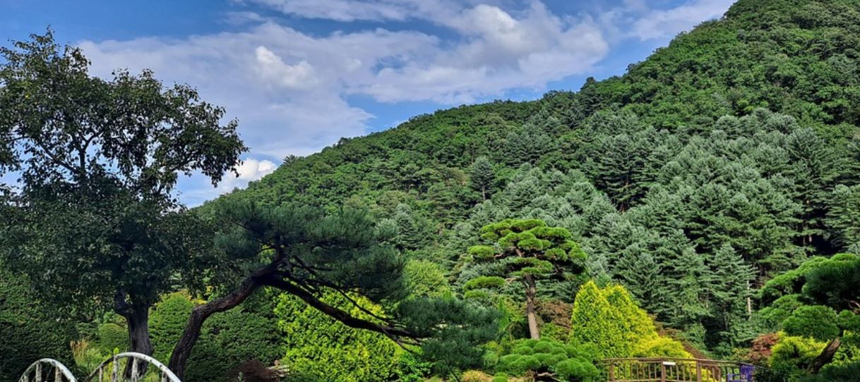 가평에 있는 산관련 사진