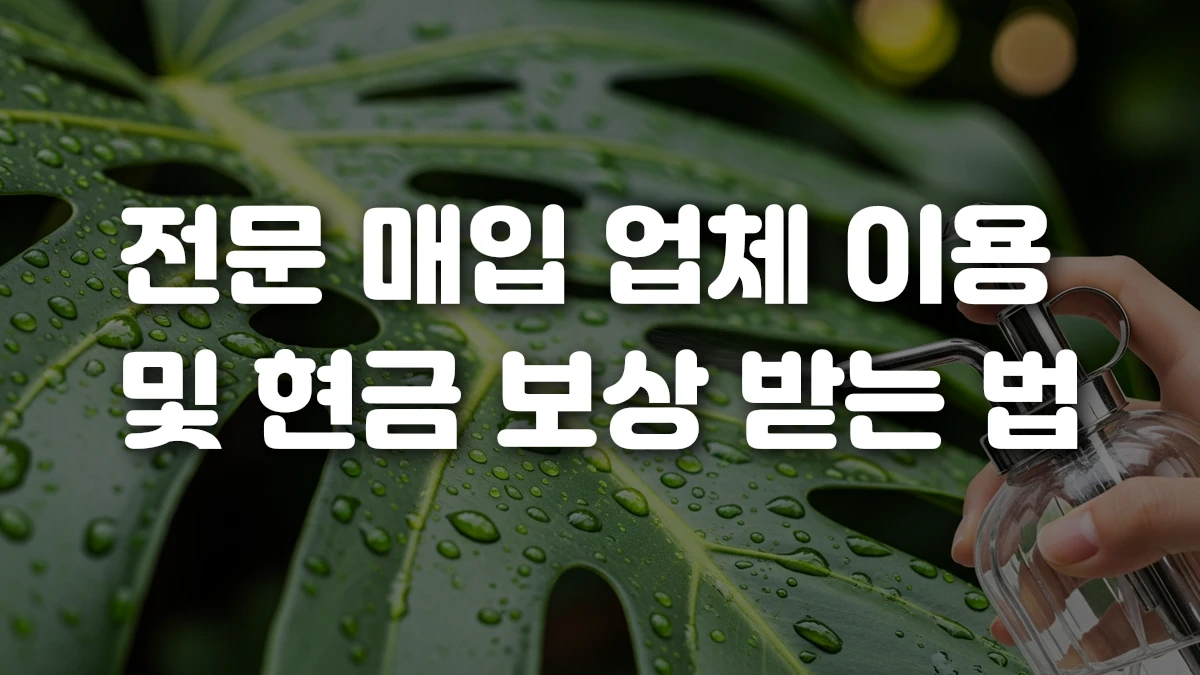 전문 매입 업체 이용 및 현금 보상 받는 법
