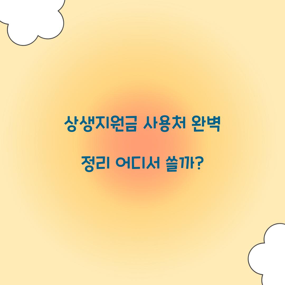 상생지원금 사용처