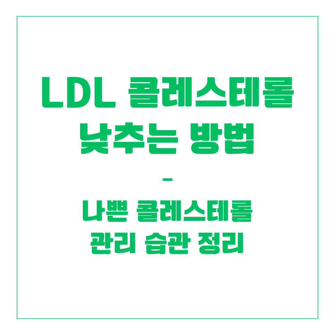 LDL 콜레스테롤 낮추는 방법 – 나쁜 콜레스테롤 관리 습관 정리