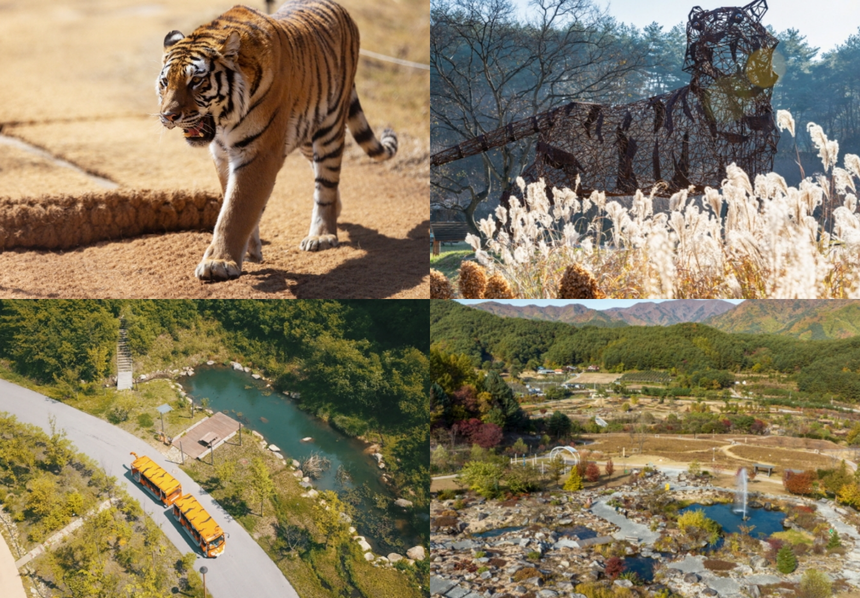 백두대간 수목원