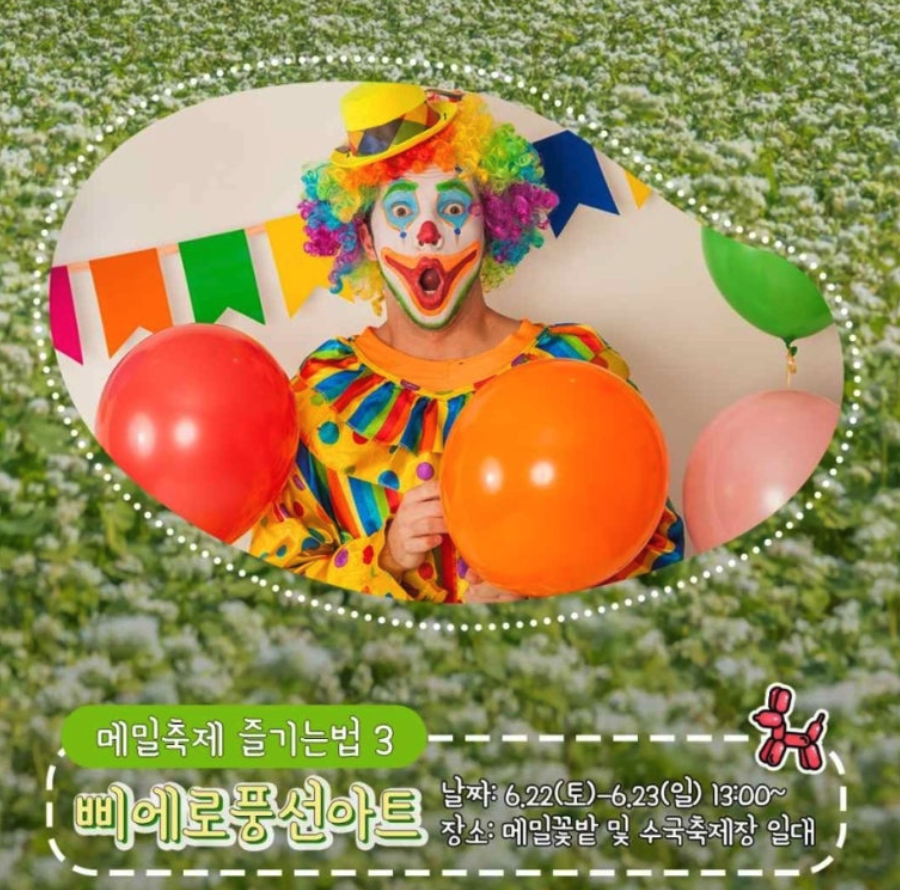 제주민속촌 메밀꽃축제 일정 체험행사 즐길거리 근처 맛집 주차 정보