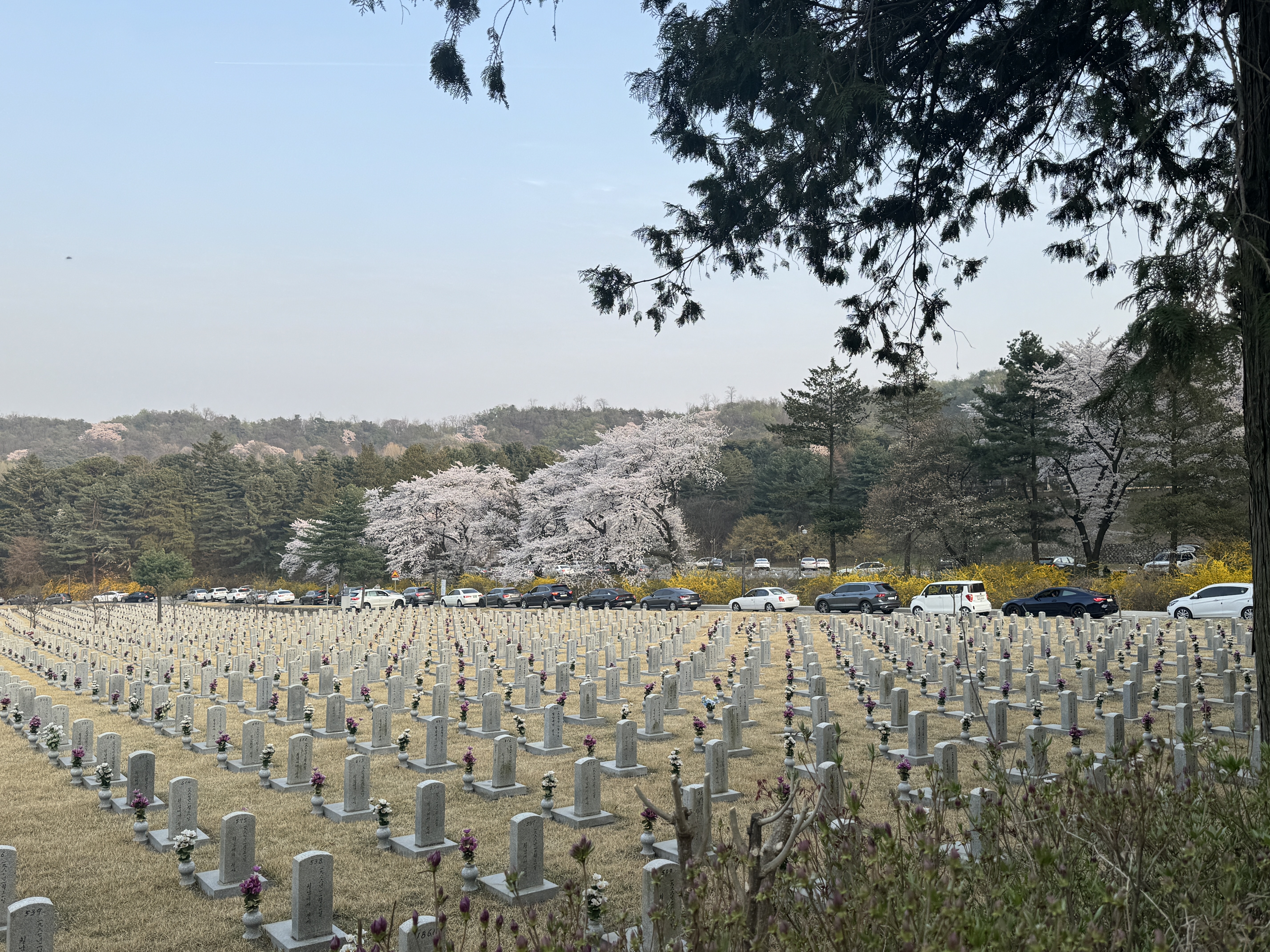 국립현충원