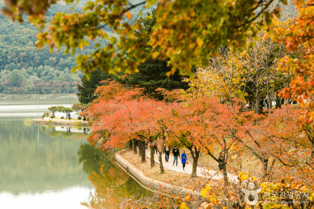 1. 경주 보문호