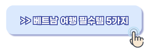 베트남 여행 필수템