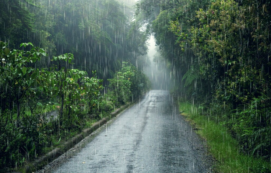 2024년 지역별 장마 예상 강수량