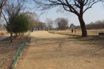 가평파크골프장 예약