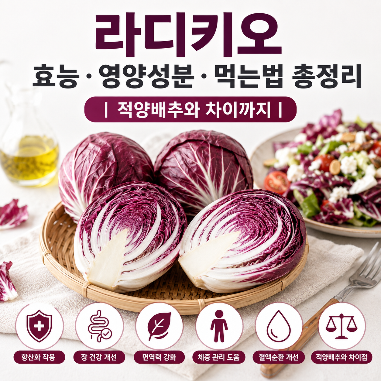 라디키오 효능
