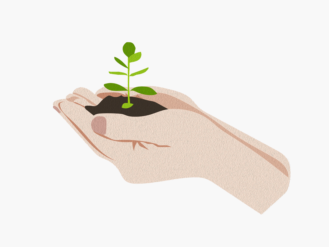 25년 7월 28일 말씀 카드 성경구절 : 자라면 어떤 풀보다도 커져 나무가 된다. (마태 13,32)