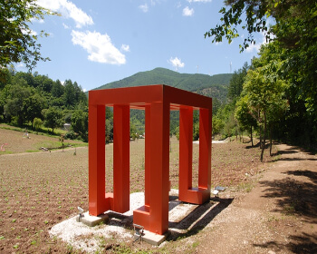 태백 해바라기 축제_10