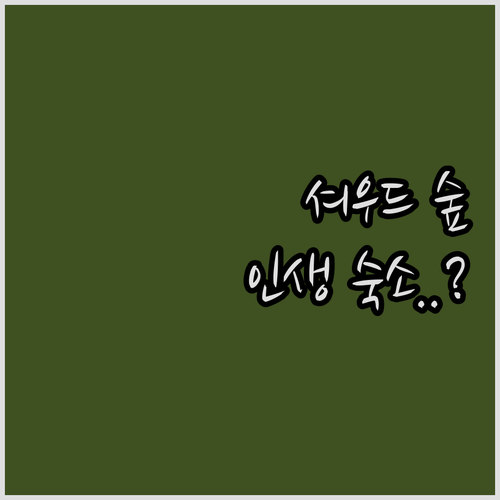 영국 워크솝 호텔 추천 셔우드 숲 근..