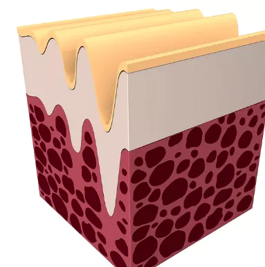 콜라겐의-효능-콜라겐-부작용-건강