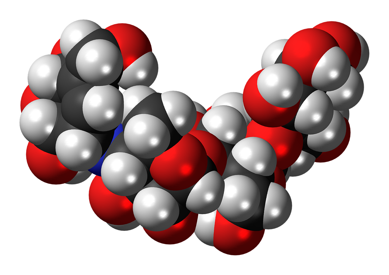 유럽 당뇨연구 관련 사진