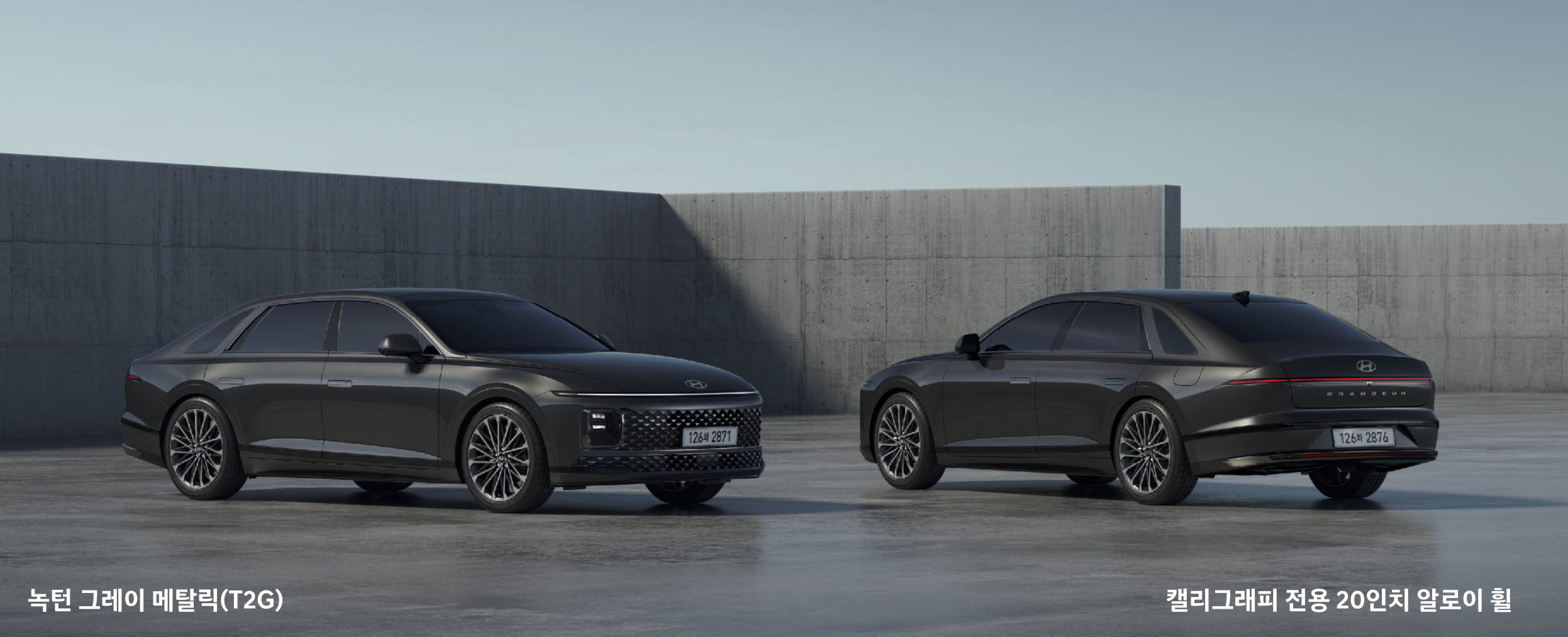 녹턴 그레이 메탈릭(색상 코드 : T2G)