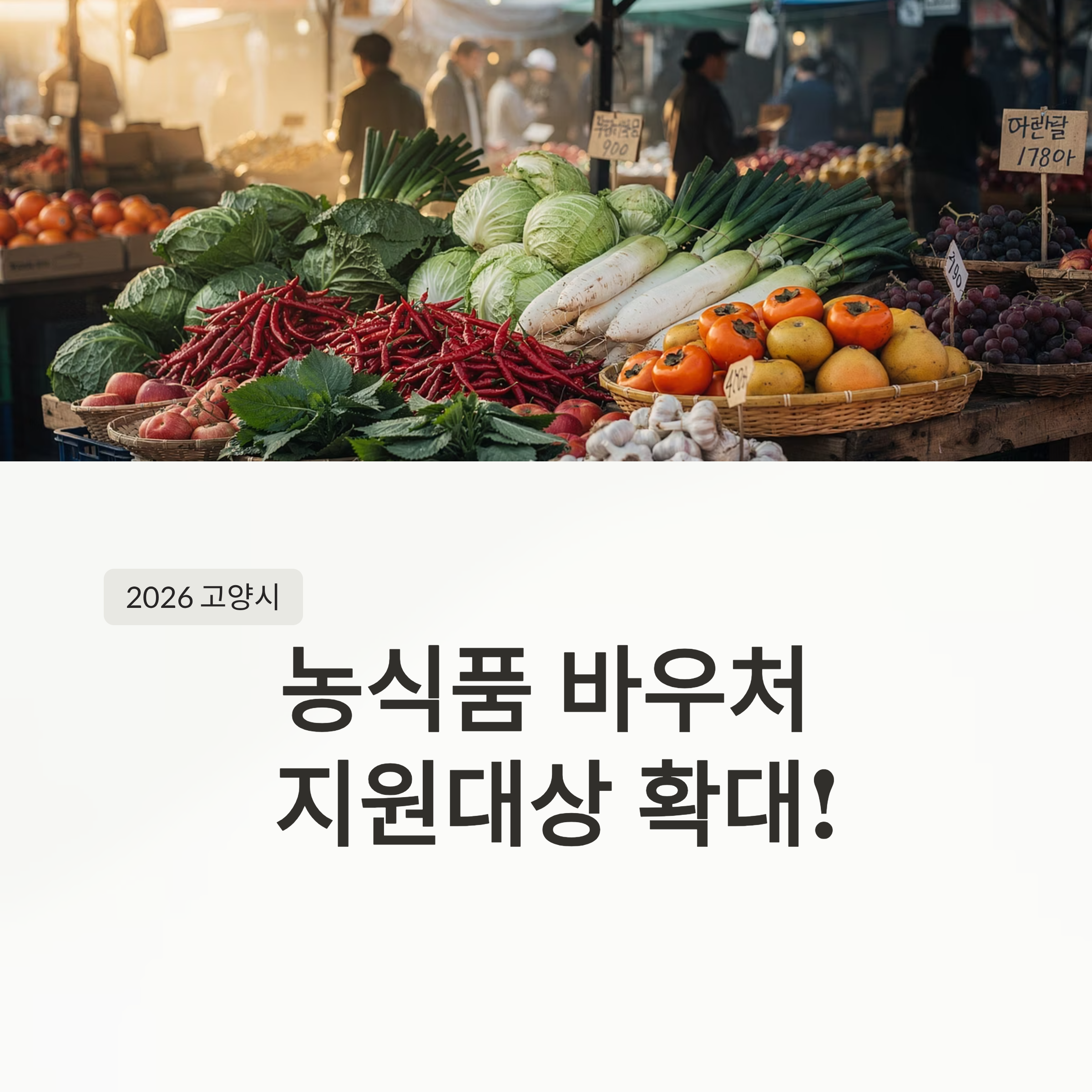 고양시 농식품 바우처 신청 ❘ 꼭 알아야 할 핵심 포인트 5