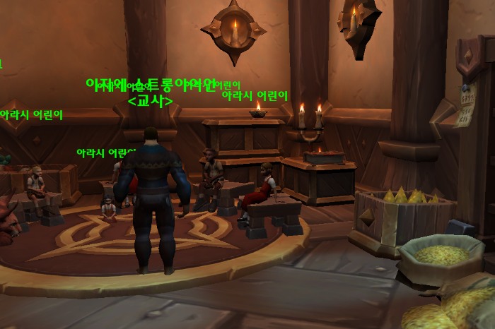 아라시 관용구 대사전