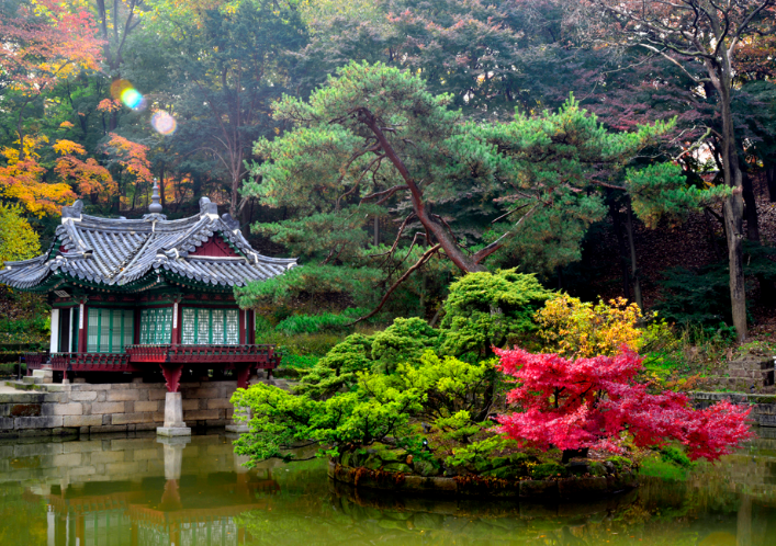 창덕궁 야간개장