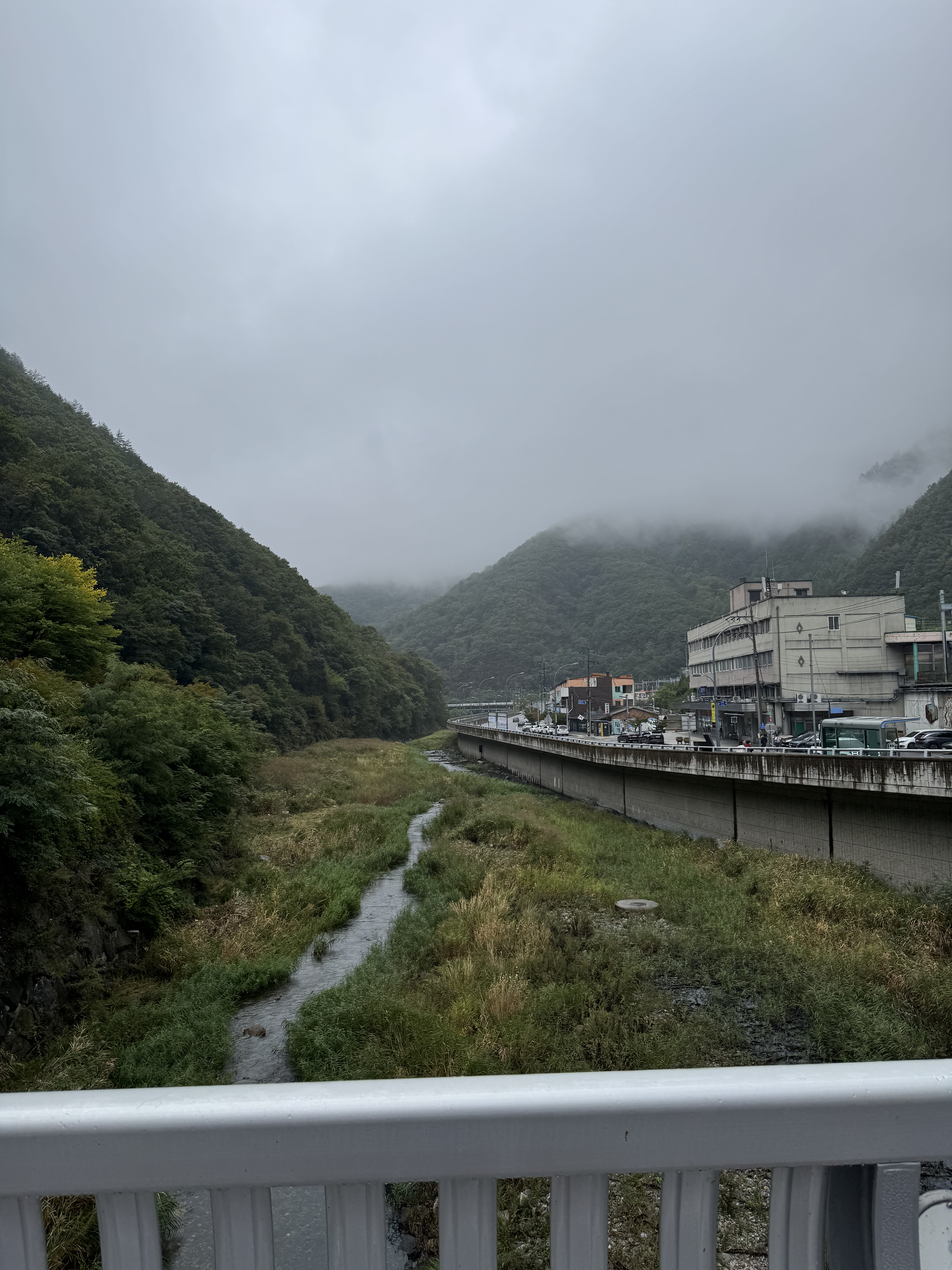 태백 여행 코스 정리, 협곡열차·산타마을·탄광·용연동굴까지