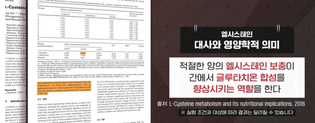 엘시스테인 효능